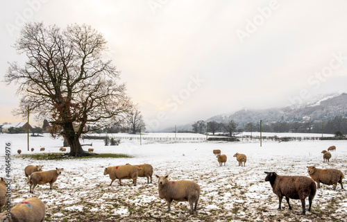 Snowy countryside of Worcestershire countryside Malvern, UK