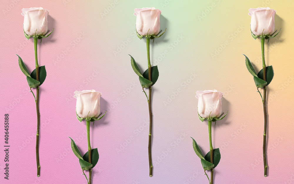 sfondo digitale di rose boccioli rosa  - obrazy, fototapety, plakaty 