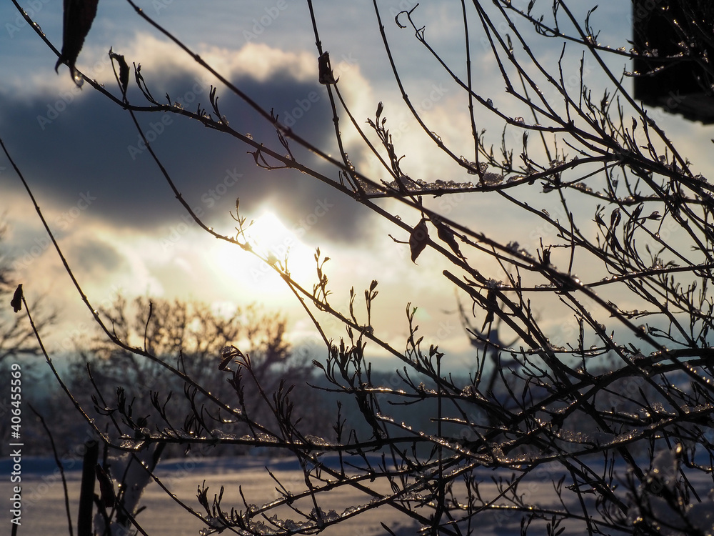 Fototapeta premium winter