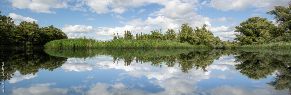 reflection of trees in the lake reflection of trees in the lake