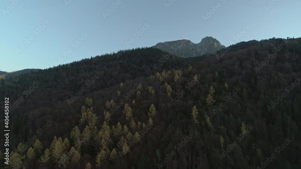 Autumn season in dark pine forest on mountainside in Poland, aerial Autumn season in dark pine forest on mountainside in Poland, aerial