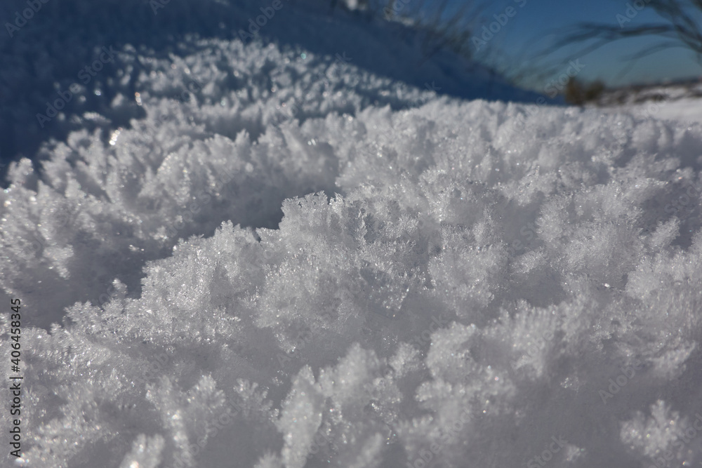 Ice crystals after the snowfall caused by storm Filomena in Madrid. Meaques-Retamares environment. Spain