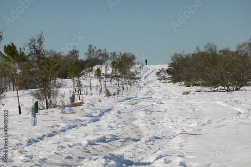 A person walking through the Meaques-Retamares environment after the snowfall caused by the storm Filomena in Madrid. Spain