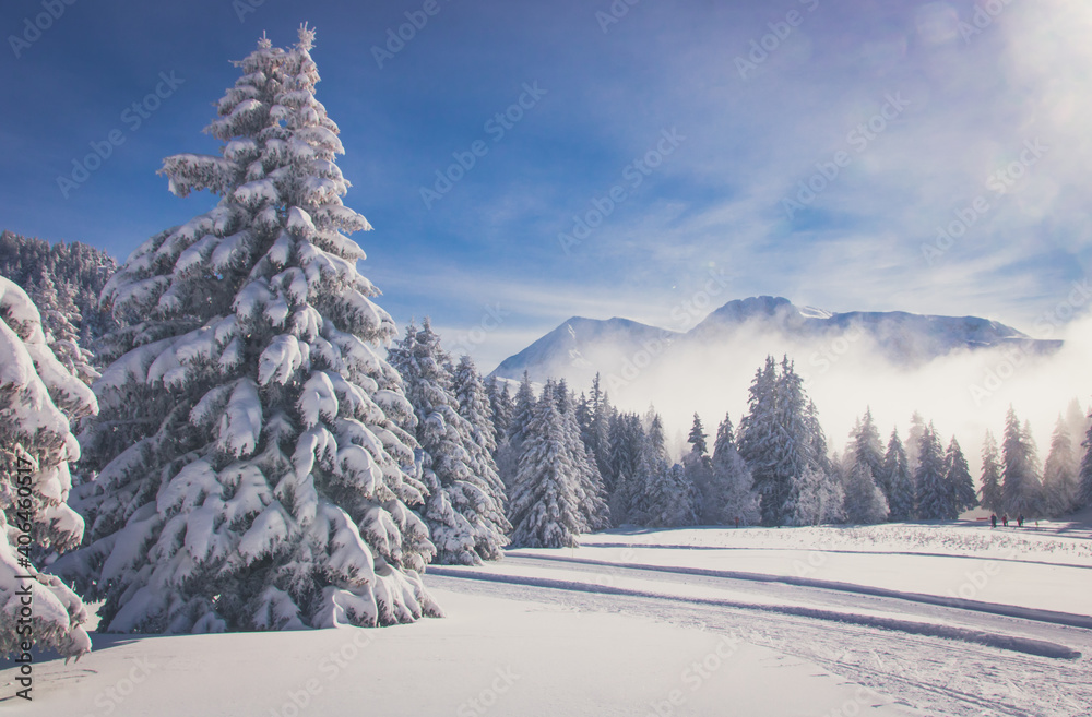 paysage de neige dans les alpes par un temps magnifique et un froid hivernal