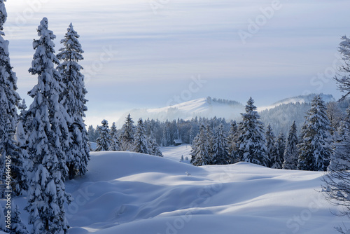 for  t dans l Alpstein - Suisse en hiver