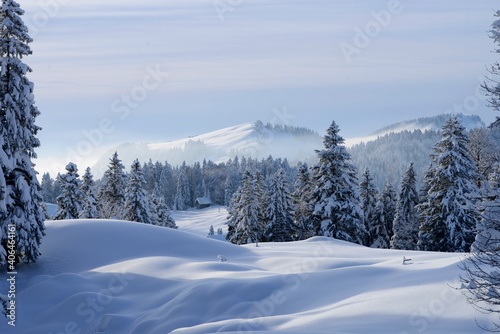 forêt de montagne enneigée - Alpes Suisse Appenzell Alpstein en hiver © DOMINIQUE MARIOTTI
