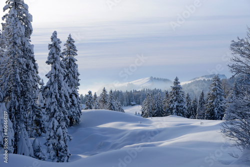 Fototapeta Naklejka Na Ścianę i Meble -  L'Alpstein et sa forêt aux conditions hivernales - Suisse