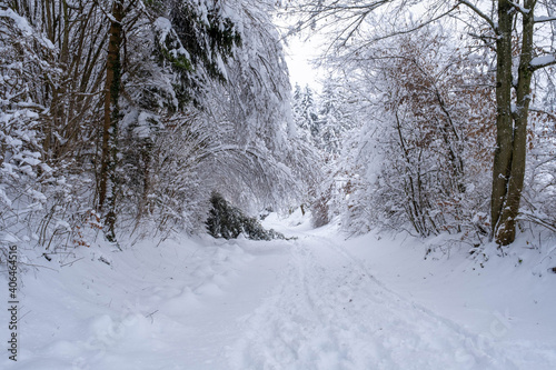 Winterwonderland in der Schweiz
