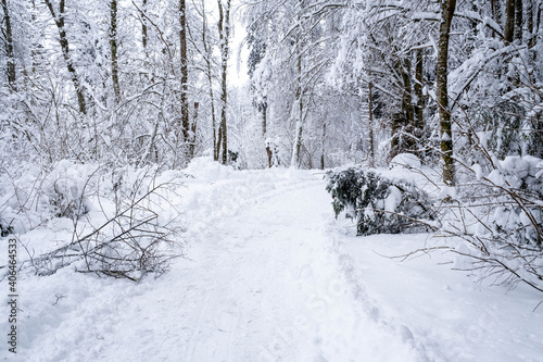Winterwonderland in der Schweiz © UrbanExplorer