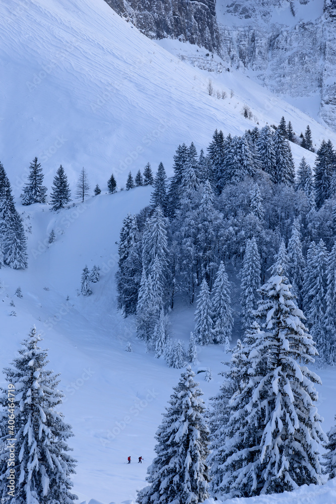 skieurs au milieu de la montagne - Alpes Suisse