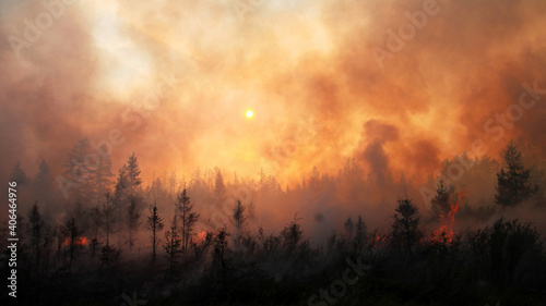 Forest fire, fire and smoke in forest. Wildfires.