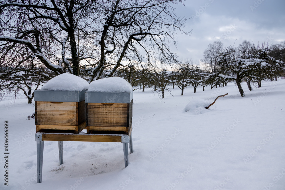Bienen Beuten im Winter mit Schnee mit Obstbäumen Bienen Beuten im Winter mit Schnee mit Obstbäumen
