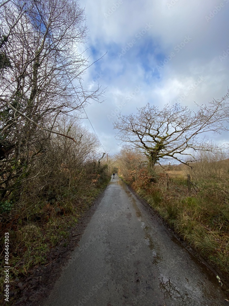Fototapeta premium Country lane