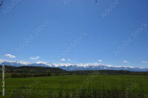 Green field and blue sky with snowy mountains in the background