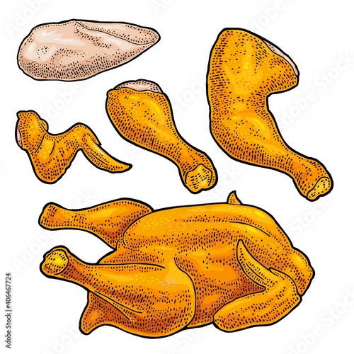 Part cutting of roasted chicken - whole, leg, wing and breast halves. Vintage color engraving