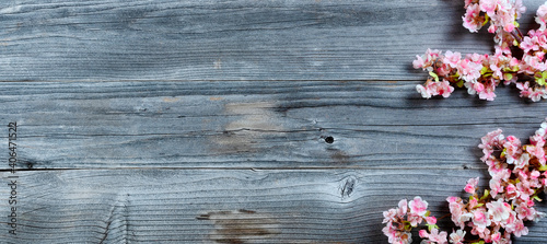 Happy Easter holiday concept with cherry blossoms on rustic wood