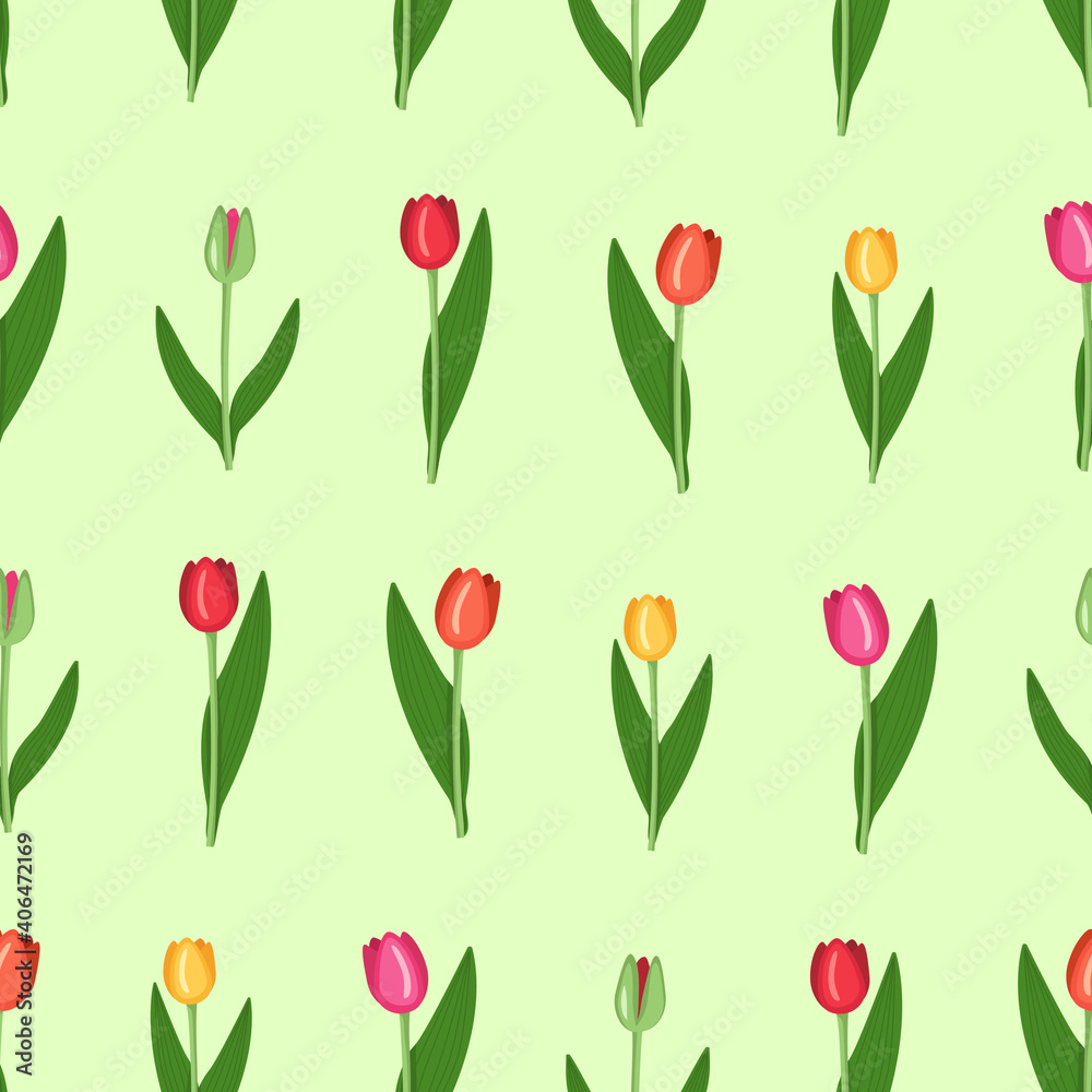 A set of Tulips of different colours A set of Tulips of different colours