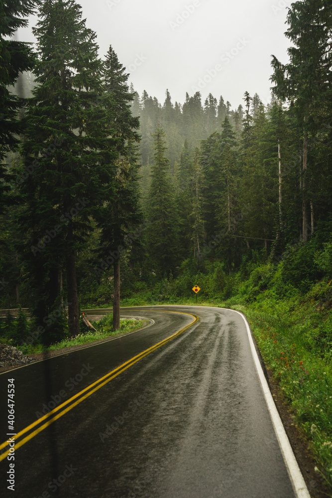 Foggy road in the forests of Oregon 