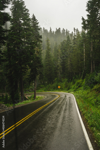 Foggy road in the forests of Oregon 