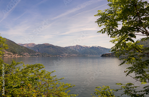 Peaking through trees across a lake