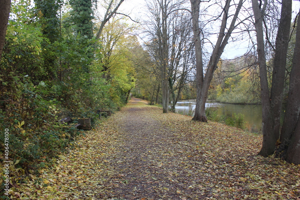 wege wege