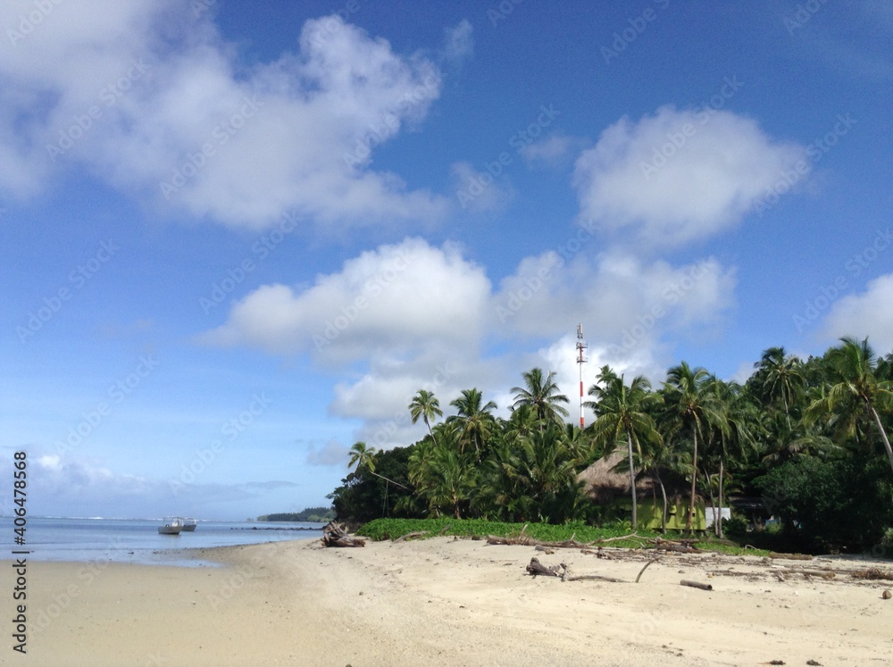 Naklejka premium beach with palm trees
