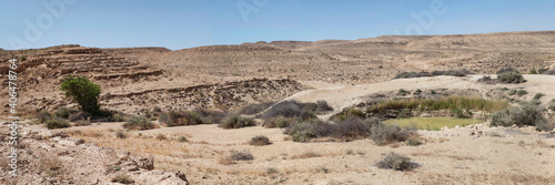 wide panorama showing the iron age bor hemet cistern near a lone ancient atlantic pistacio tree in a ravine with the negev mountains and a clear sky in the background