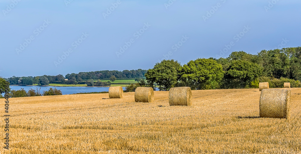 Fototapeta premium Circular hay bales await collection on the shores of Rutland Water reservoir in summertime