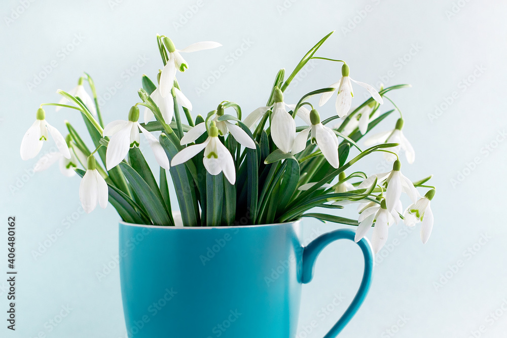 Snowdrops in a cup. Spring mood.