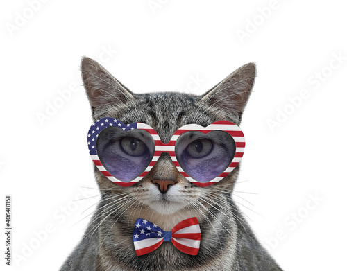 A gray cat patriot wears usa flag heart shaped sunglasses. White background. Isolated. © iridi66