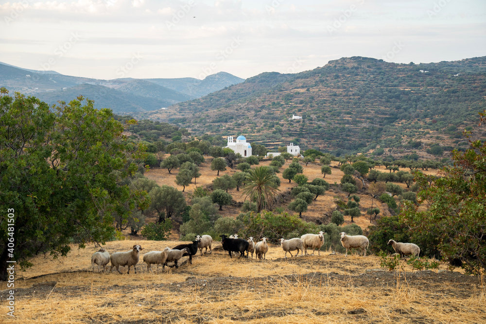 landscape in the mountains on Sifnos island, Greece