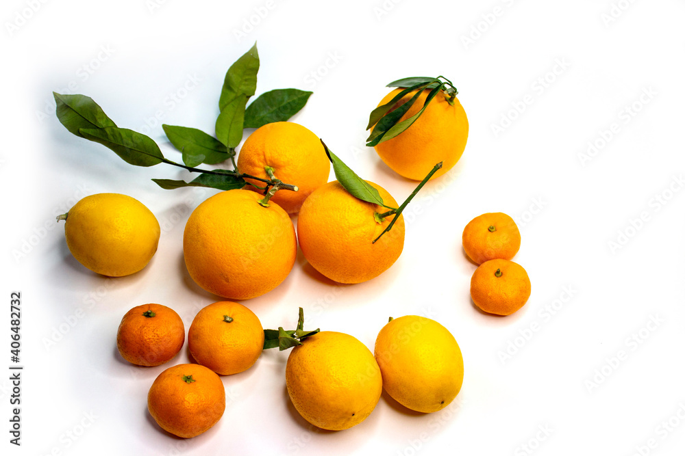 Citrus fruits oranges, tangerines, lemons in bulk. A composition of ripe orange and yellow fruits with green twigs and leaves on a white background. Citrus fruits oranges, tangerines, lemons in bulk. A composition of ripe orange and yellow fruits with green twigs and leaves on a white background.