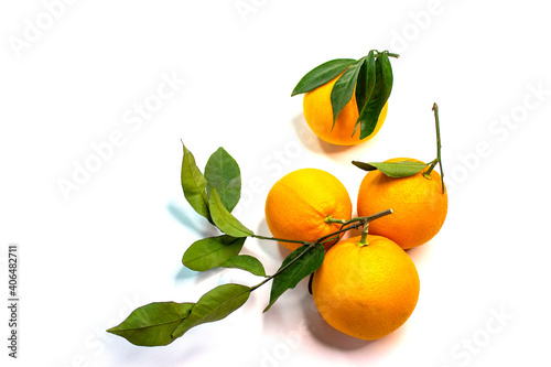 Oranges. Ripe round fruits with green twigs and leaves. Textured orange peel. Close-up on a white background.