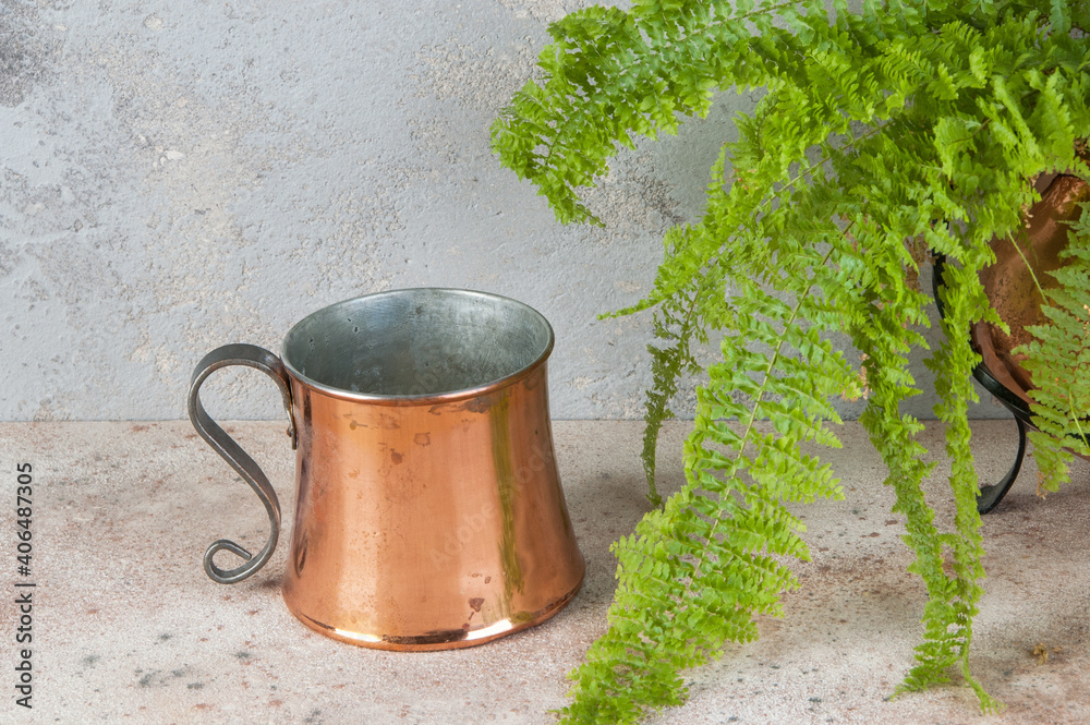 Antique copper mug and green plant Antique copper mug and green plant