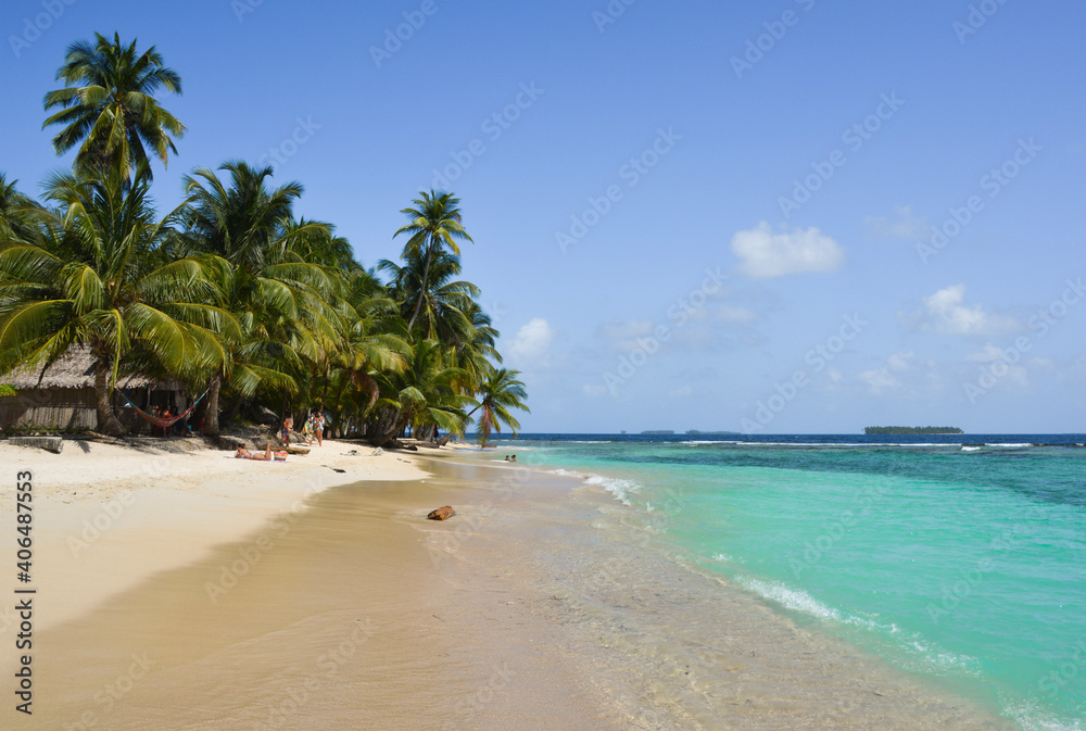 beach with palm trees