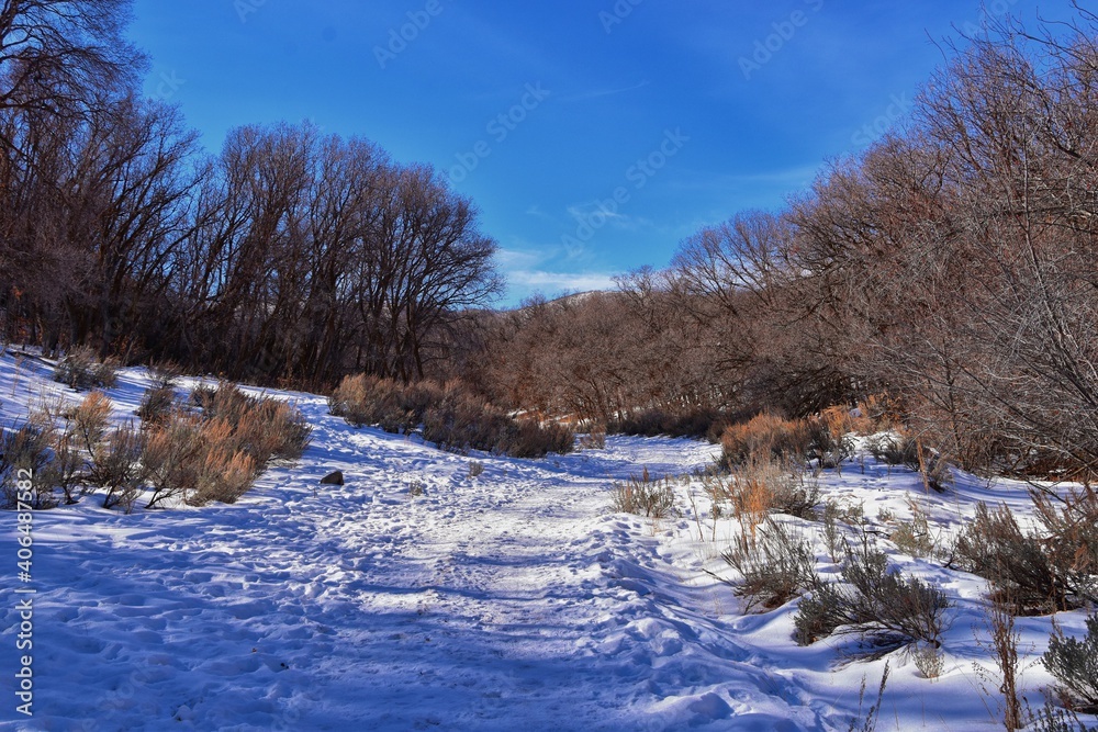 Winter snow mountain hiking trail views Yellow Fork Canyon County Park Rose Canyon by Rio Tinto Bingham Copper Mine, in winter. Salt Lake City, Utah. United States. Winter snow mountain hiking trail views Yellow Fork Canyon County Park Rose Canyon by Rio Tinto Bingham Copper Mine, in winter. Salt Lake City, Utah. United States.