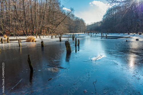 Frozen winter lake in Hungary photo