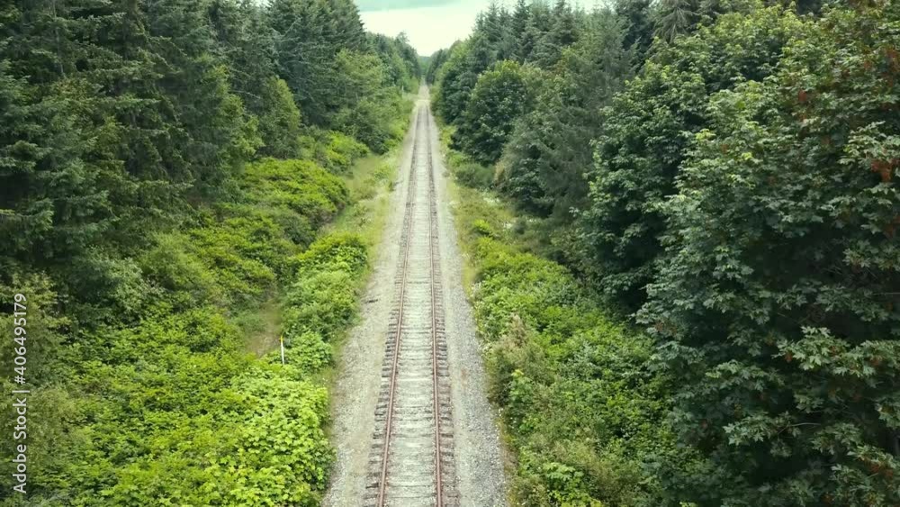 Drone view facing forward flying down railroad tracks and rising up between trees. Drone view facing forward flying down railroad tracks and rising up between trees.