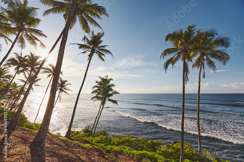 Tropical beach with coconut palm trees at sunrise.