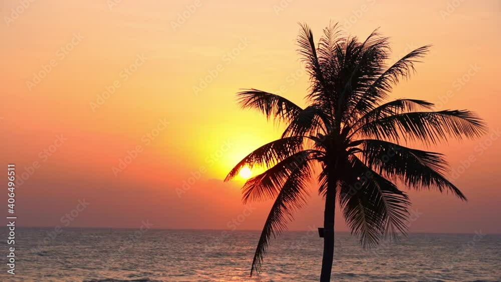 Romantic silhouette view of red sky with golden sunset seen through palm tree branches with calm ocean in the background. Romantic silhouette view of red sky with golden sunset seen through palm tree branches with calm ocean in the background.