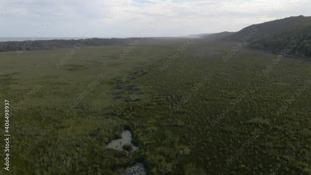 Eighteen Mile Swamp In North Stradbroke Island - Wetland With Green Grass In Blue Lake National Park, QLD, Australia. - aerial Eighteen Mile Swamp In North Stradbroke Island - Wetland With Green Grass In Blue Lake National Park, QLD, Australia. - aerial