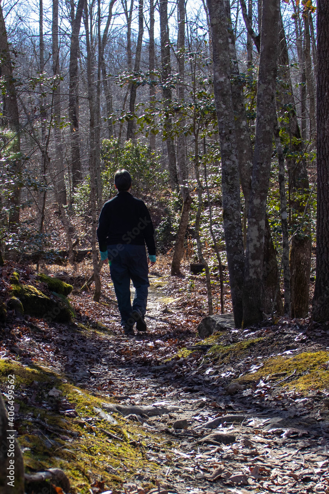 Woman hiking in the woods in the winter with a walking stick Woman hiking in the woods in the winter with a walking stick