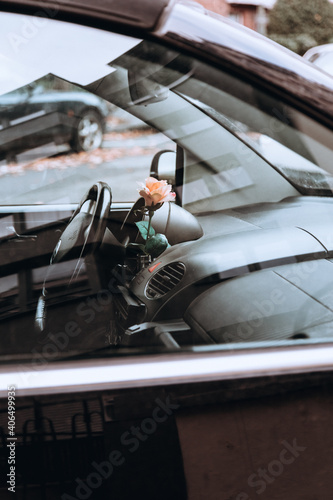 The car and the rose © Jelena