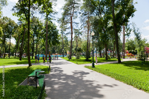 Alleys and paths of the park with tall green trees on a sunny day along which people walk