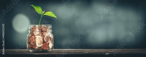 
Plant Growing Out Jar Of Coins On Wooden Table - Investment Growth Concept photo