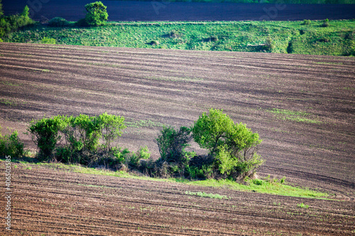 Plowed field in early spring with trees