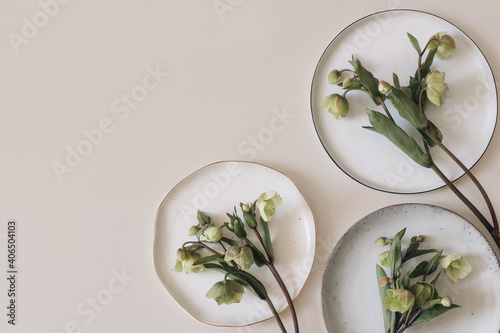 Spring foral frame, banner. Green hellebores flowers on round ceramic plates. Neutral beige champagne table background. Empty copy space. Flat lay, top view. Natural minimal composition.