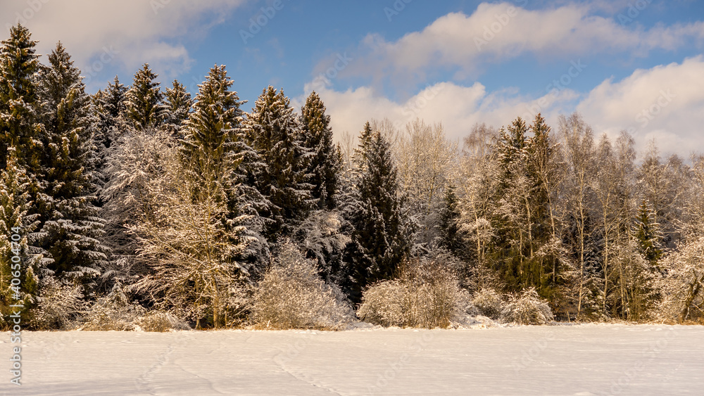 Schneelandschaft Schneelandschaft
