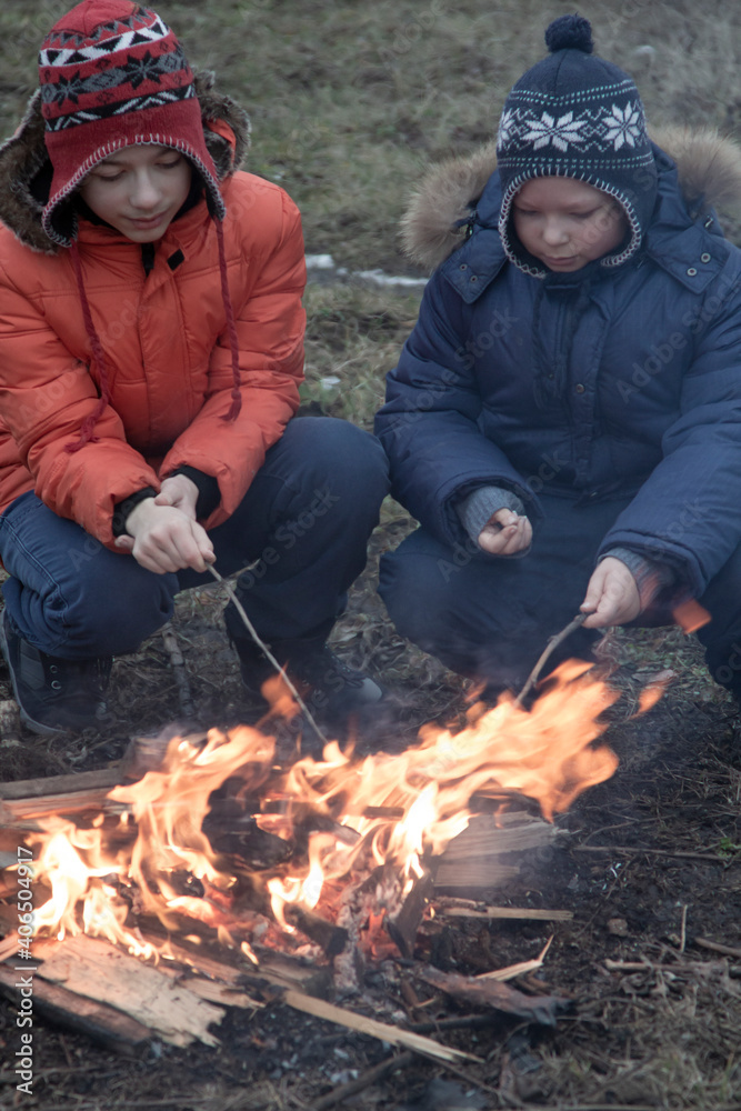 Two brother roasting hotdogs on sticks at bonfire. Children havi