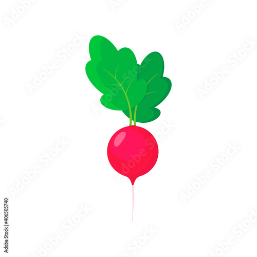 Radish icon in flat style. Isolated object, logo. Vegetable from the farm. Organic food. Vector illustration.
